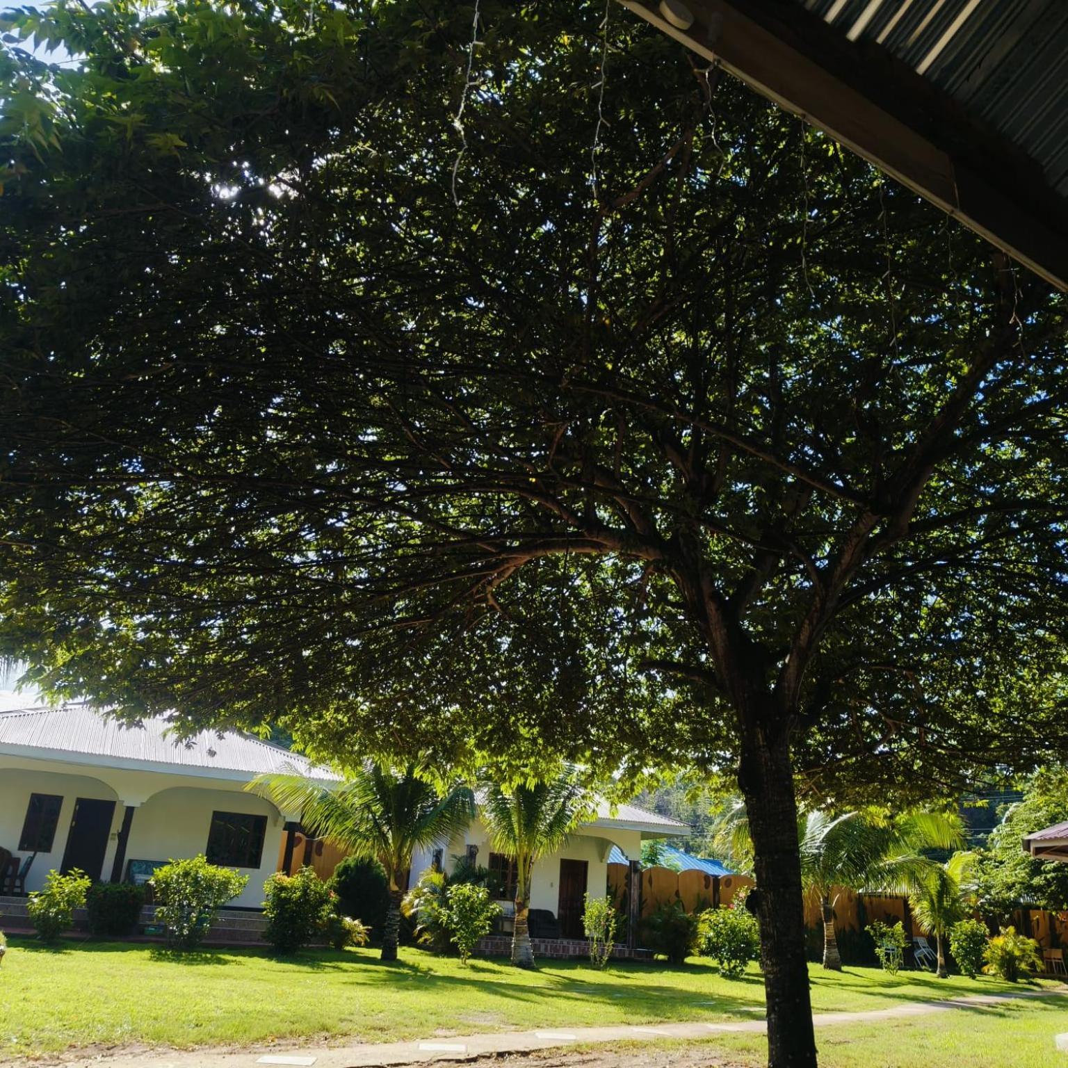 E&N Paradise Island Resort 锡基霍尔 外观 照片